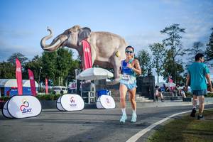 BIB: 
                            <button type="button" onclick="openModal(26542020)" class="btn btn-primary btn-sm float-right btn-popup" data-toggle="modal" data-target=".modal-high-quality">
                        <i class="fas fa-shopping-cart"></i> Add to Cart
                    </button>
                                            <button type="button" onclick="isThisMe(26542020, true)" class="btn btn-success btn-sm float-right btn-popup btn-isme hidden" data-toggle="tooltip" data-placement="bottom" title="นี่คือรูปของคุณใช่ไหม คลิกที่นี่เพื่อเอาเข้าอัลบั้ม">
                        <i class="fas fa-plus"></i> Add to album
                    </button>
                    <button type="button" onclick="isThisMe(26542020, false)" class="btn btn-warning btn-sm float-right btn-popup btn-isnotme hidden">
                        <i class="fas fa-ban"></i> Remove from album
                    </button>